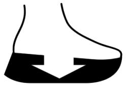 LIVELYFOAM